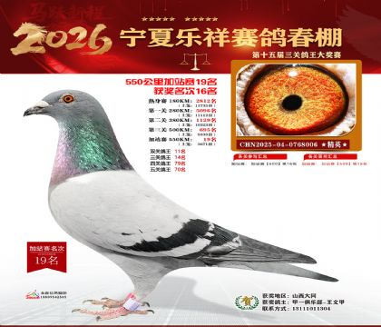 ���������վ��19��