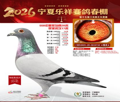 ���������վ��20��