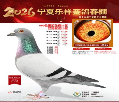 ���������վ��25��