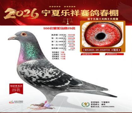 ���������վ��29��