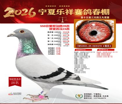 ���������վ��28��