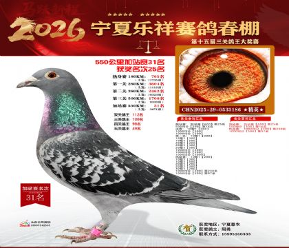 ���������վ��31��