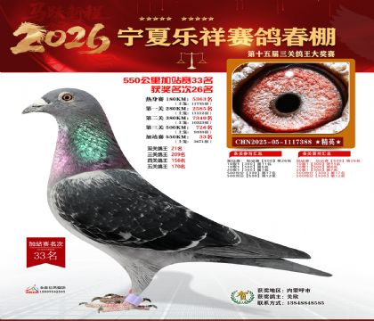 ���������վ��33��