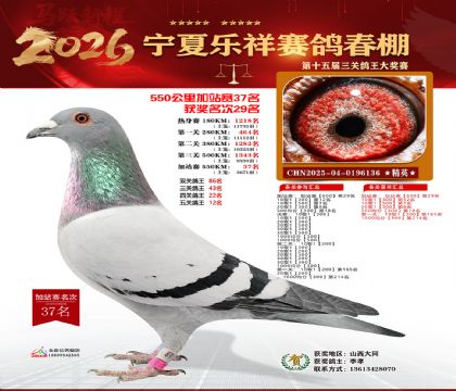 ���������վ��37��