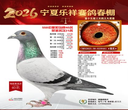 ���������վ��40��