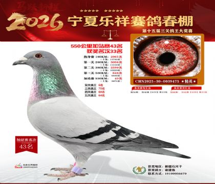 ���������վ��43��