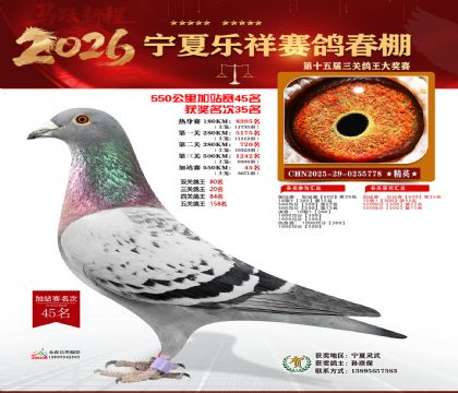 ���������վ��45��