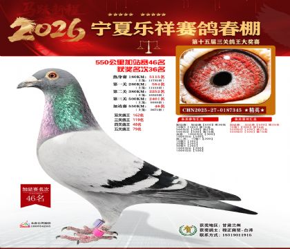 ���������վ��46��