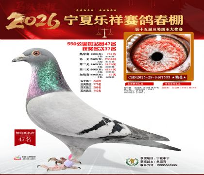 ���������վ��47��