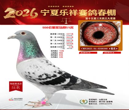 ���������վ��51��