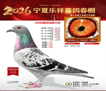 ���������վ��55��