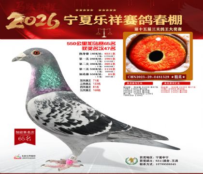 ���������վ��65��