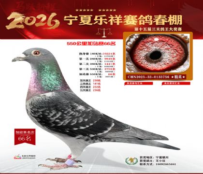 ���������վ��66��