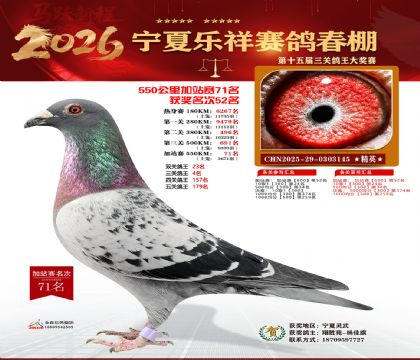 ���������վ��71��