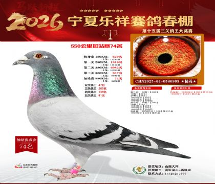 ���������վ��74��