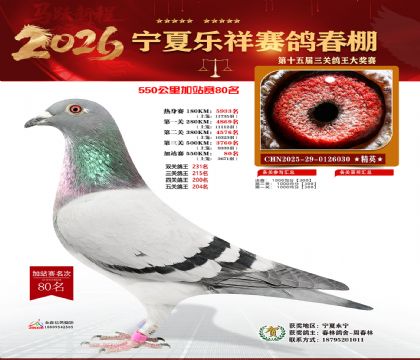 ���������վ��80��