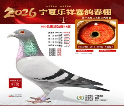 ���������վ��81��