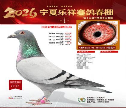 ���������վ��85��