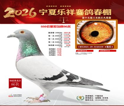 ���������վ��86��