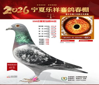 ���������վ��88��