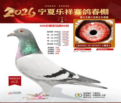 ���������վ��89��