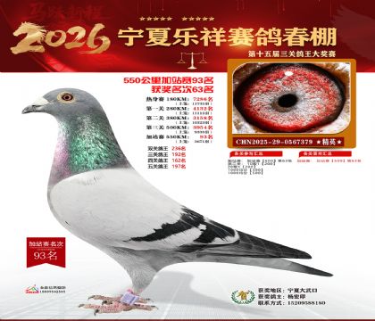 ���������վ��93��