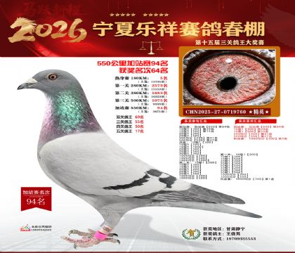 ���������վ��94��