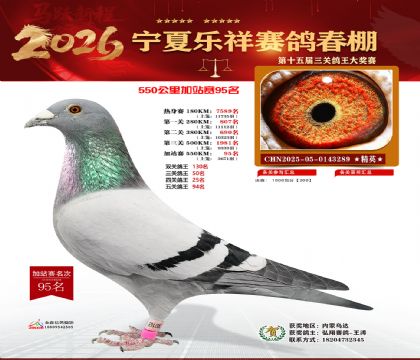 ���������վ��95��