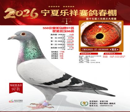 ���������վ��97��