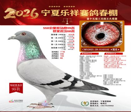 ���������վ��99��