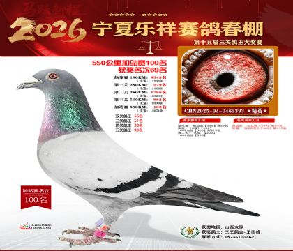 ���������վ��100��