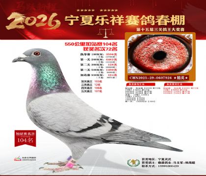 ���������վ��104��