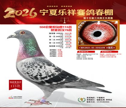 ���������վ��113��