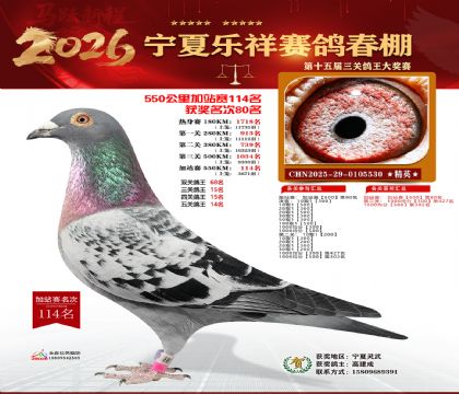 ���������վ��114��