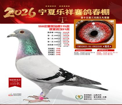 ���������վ��115��