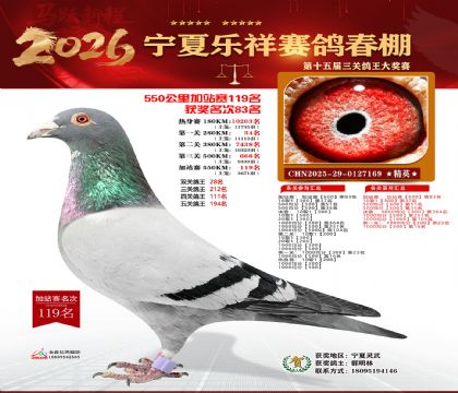 ���������վ��119��