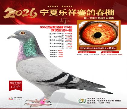 ���������վ��120��