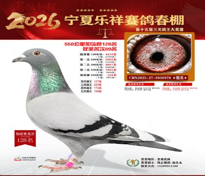 ���������վ��128��