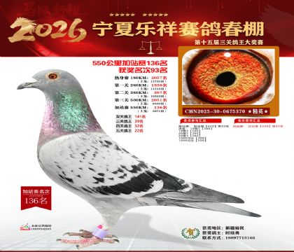 ���������վ��136��