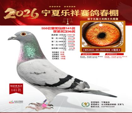 ���������վ��141��