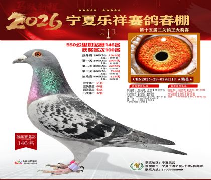 ���������վ��146��