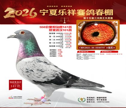 ���������վ��147��