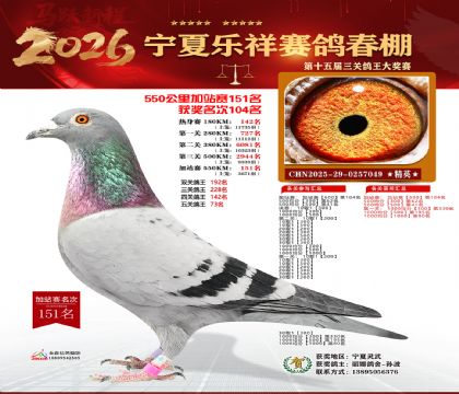 ���������վ��151��