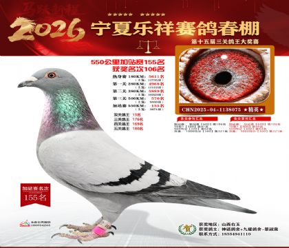 ���������վ��155��