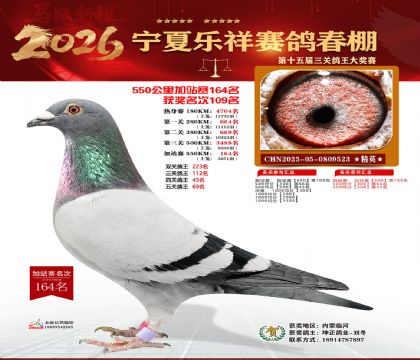 ���������վ��164��