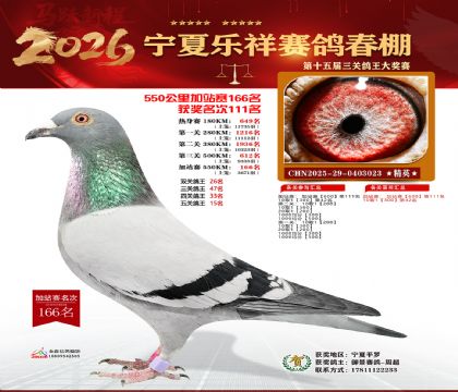 ���������վ��166��