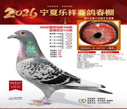 ���������վ��168��