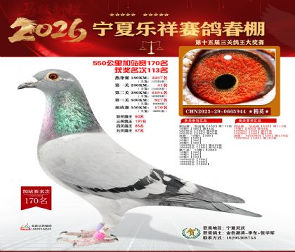 ���������վ��170��