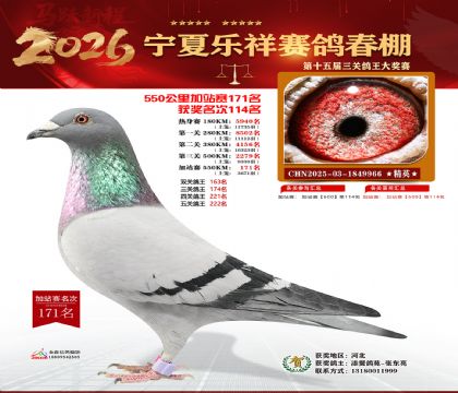 ���������վ��171��