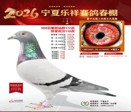 ���������վ��172��